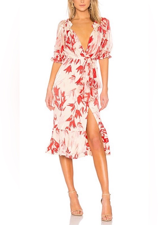 SALONI Dresses & Skirts - Saloni Olivia dress in the Rainbow Coral